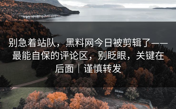 别急着站队，黑料网今日被剪辑了——最能自保的评论区，别眨眼，关键在后面｜谨慎转发
