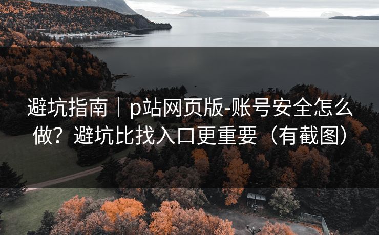 避坑指南｜p站网页版-账号安全怎么做？避坑比找入口更重要（有截图）