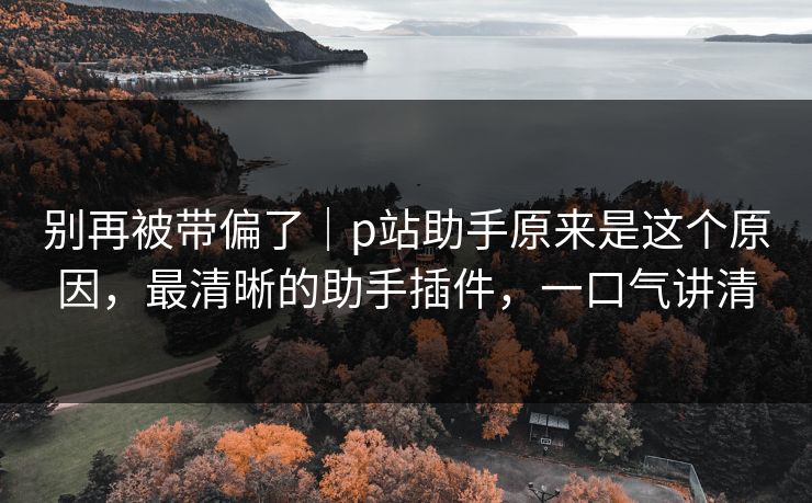 别再被带偏了｜p站助手原来是这个原因，最清晰的助手插件，一口气讲清