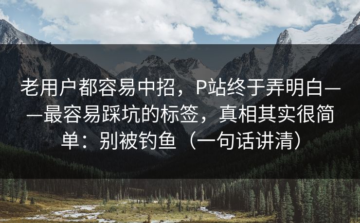 老用户都容易中招，P站终于弄明白——最容易踩坑的标签，真相其实很简单：别被钓鱼（一句话讲清）
