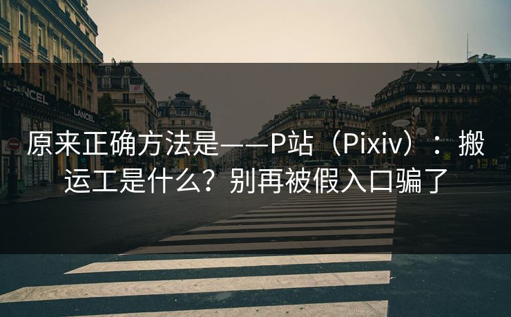 原来正确方法是——P站（Pixiv）：搬运工是什么？别再被假入口骗了