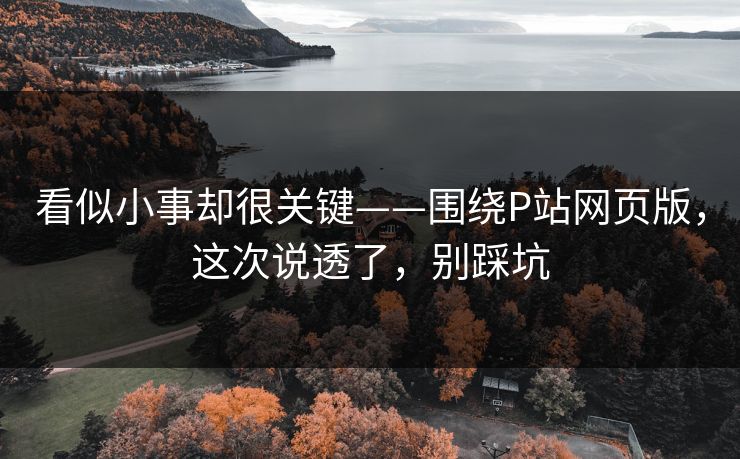 看似小事却很关键——围绕P站网页版，这次说透了，别踩坑