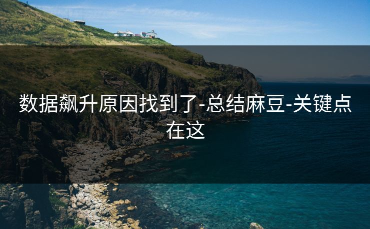 数据飙升原因找到了-总结麻豆-关键点在这