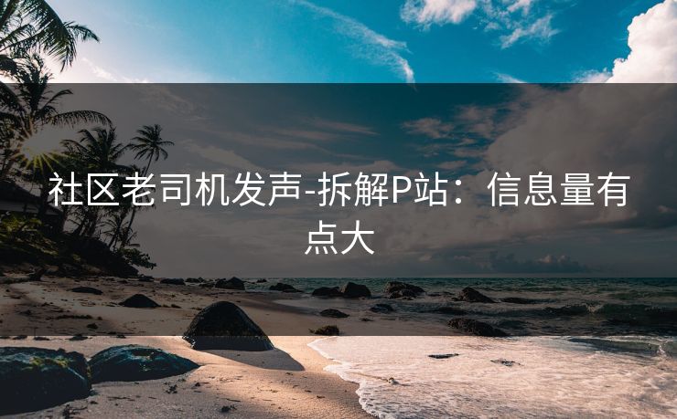 社区老司机发声-拆解P站：信息量有点大
