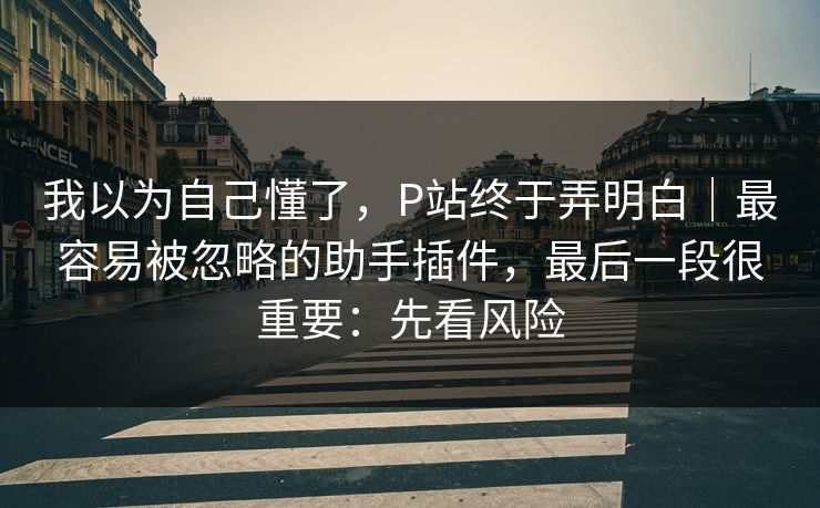 我以为自己懂了，P站终于弄明白｜最容易被忽略的助手插件，最后一段很重要：先看风险