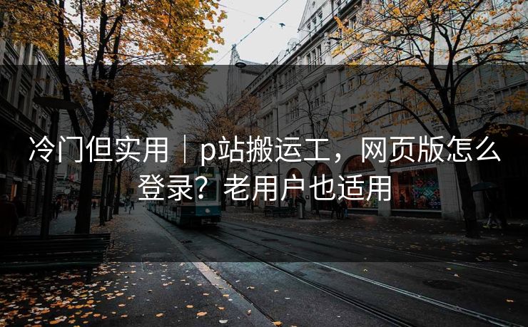 冷门但实用｜p站搬运工，网页版怎么登录？老用户也适用