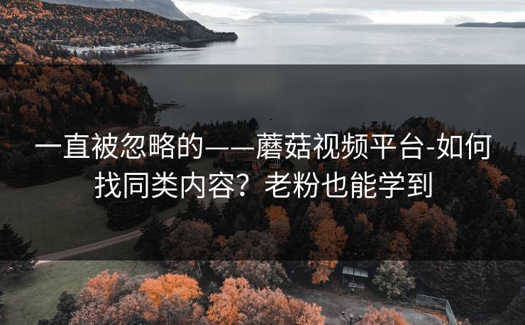 一直被忽略的——蘑菇视频平台-如何找同类内容？老粉也能学到