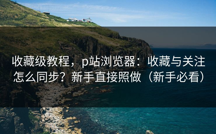 收藏级教程，p站浏览器：收藏与关注怎么同步？新手直接照做（新手必看）