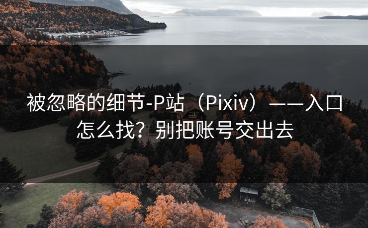 被忽略的细节-P站（Pixiv）——入口怎么找？别把账号交出去