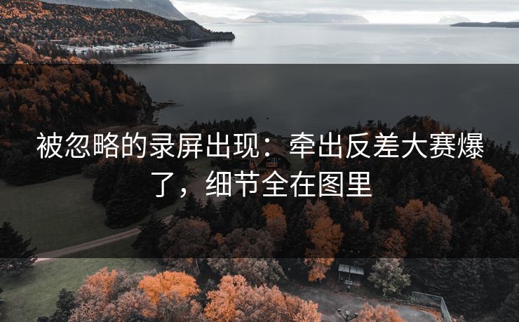 被忽略的录屏出现:牵出反差大赛爆了,细节全在图里 被忽略的录屏出现:牵出反差大赛爆了,细节全在图里